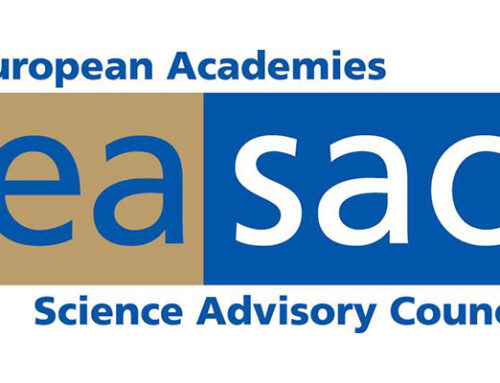 Възстановяването на природата е стратегическа инвестиция в сигурността, просперитета и екологичната стабилност